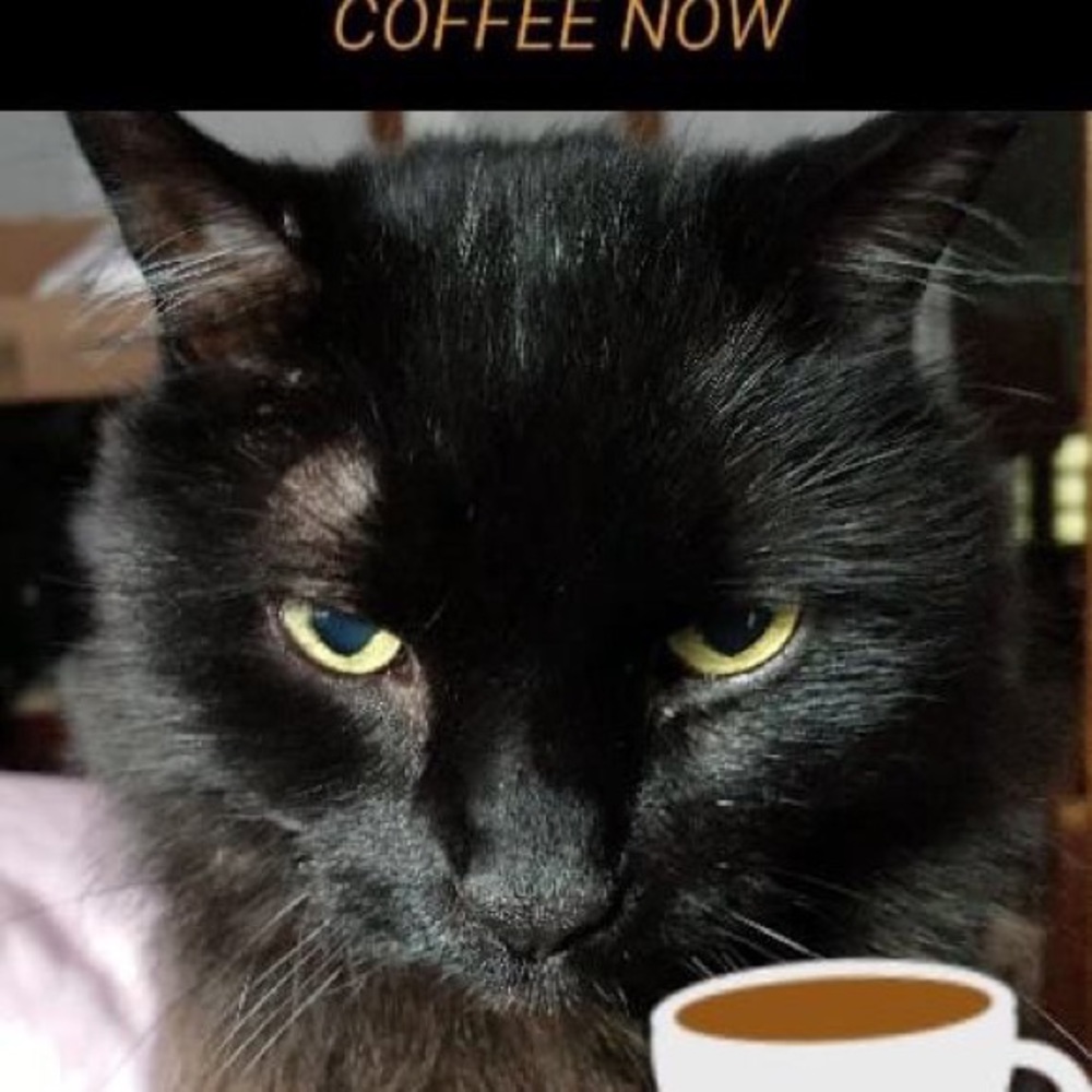 Meet your Posher, Kathryn m